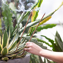 Load image into Gallery viewer, Flyaway Sticks