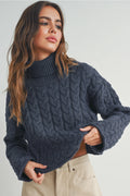 Thick Braid Turtleneck Sweater