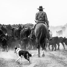 Load image into Gallery viewer, A Ranch Year
