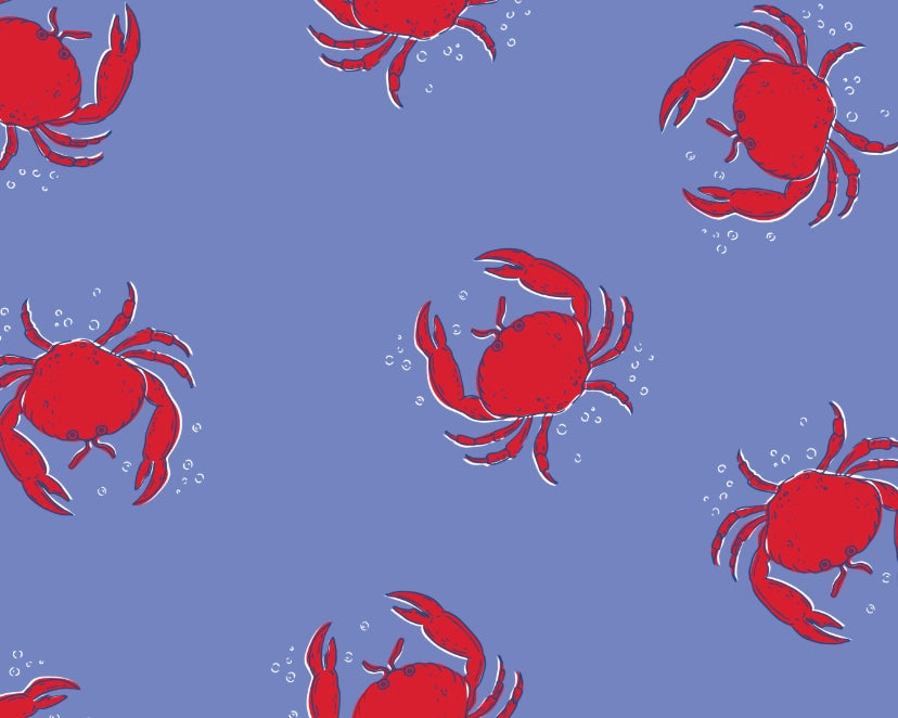 Boys Coastal Crab Swim Shorts