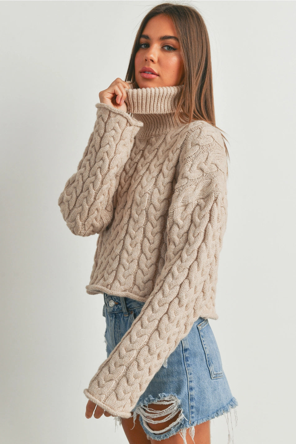 Thick Braid Turtleneck Sweater