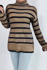 Striped L/S Knitting Turtleneck Sweater