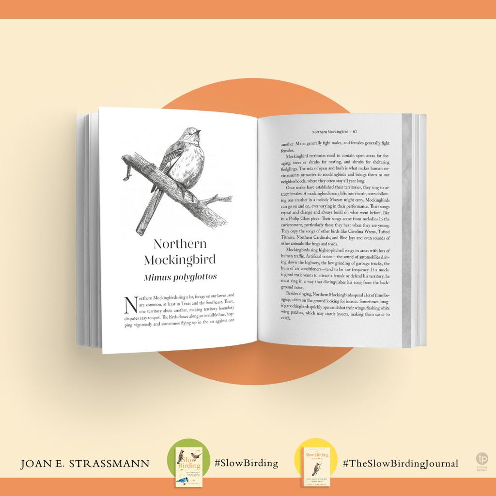 The Slow Birding Journal