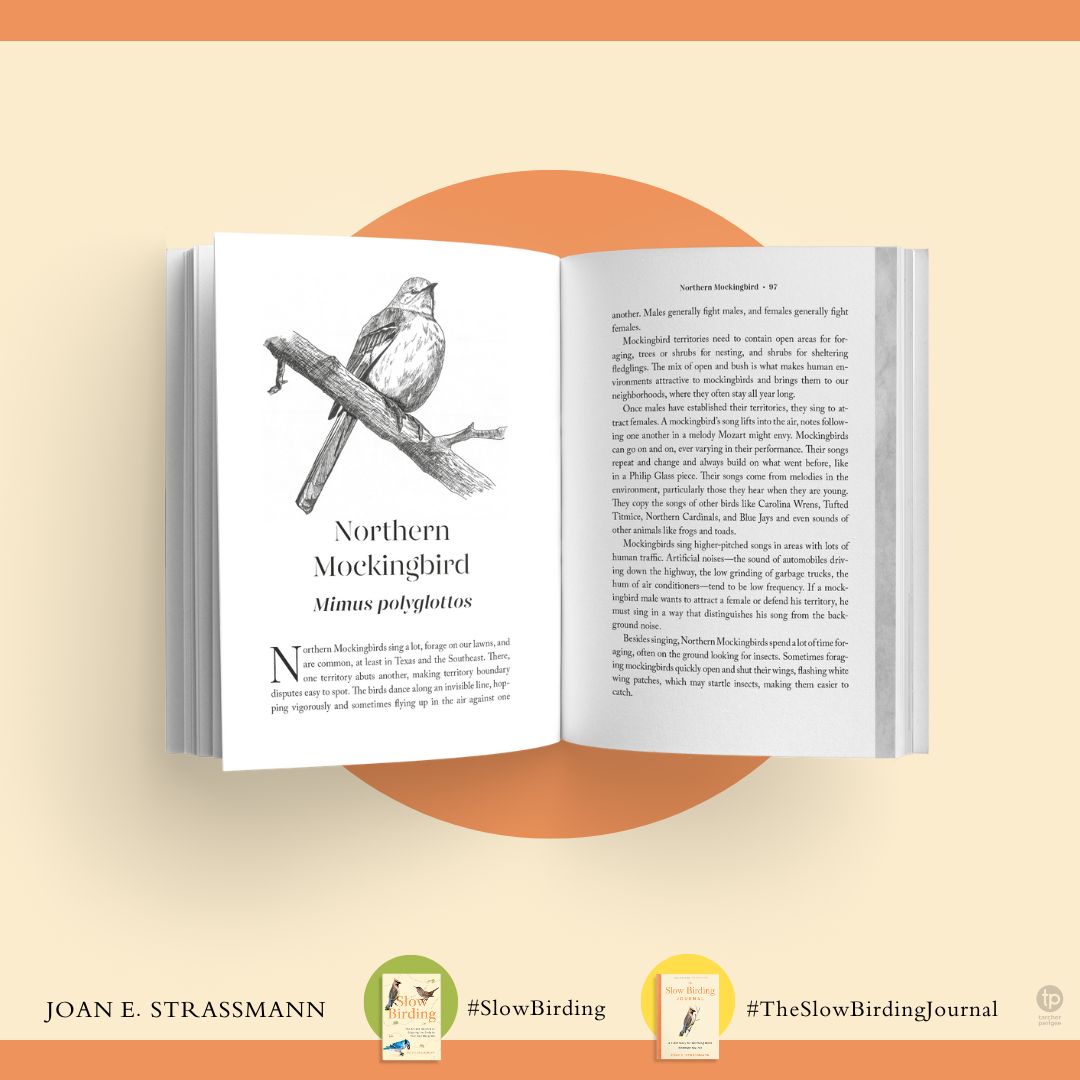 The Slow Birding Journal