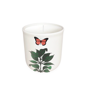 Terrace Boxed Candle