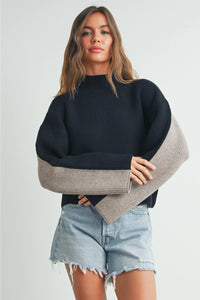 Two-Toned Turtleneck Sweater