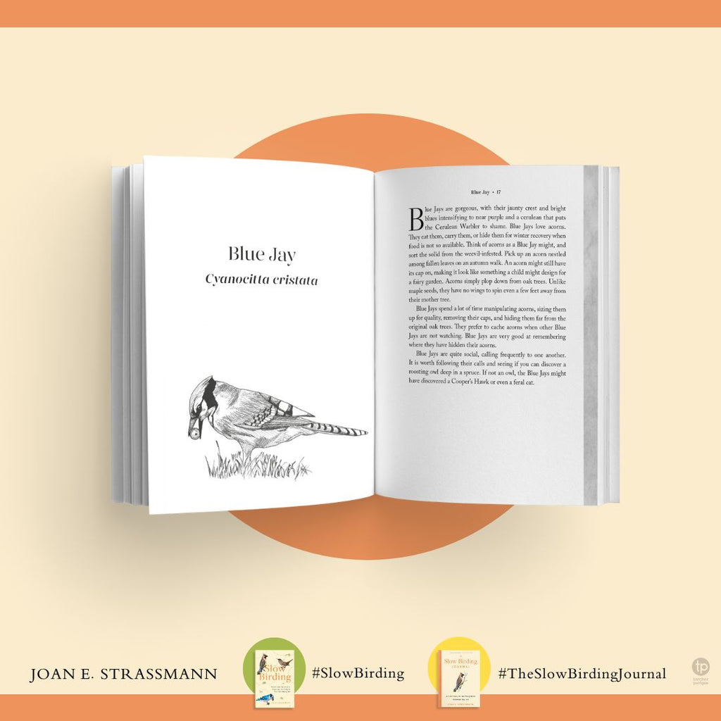 The Slow Birding Journal