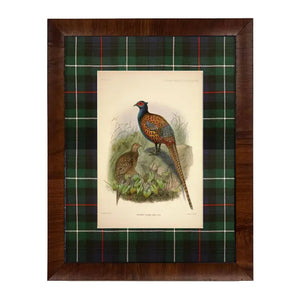 Vintage Pheasant Painting
