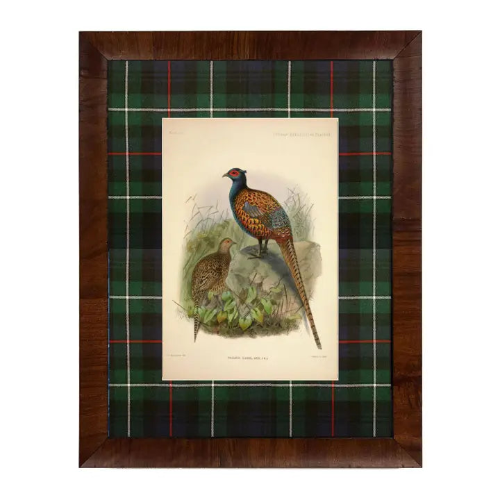 Vintage Pheasant Painting