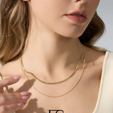 Load image into Gallery viewer, Double Layer Snake Chain Necklace
