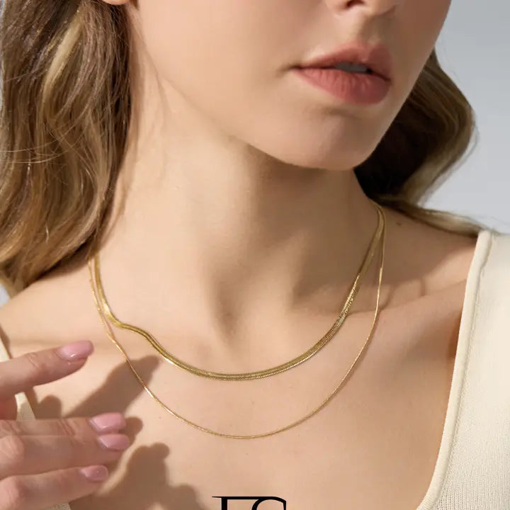 Double Layer Snake Chain Necklace
