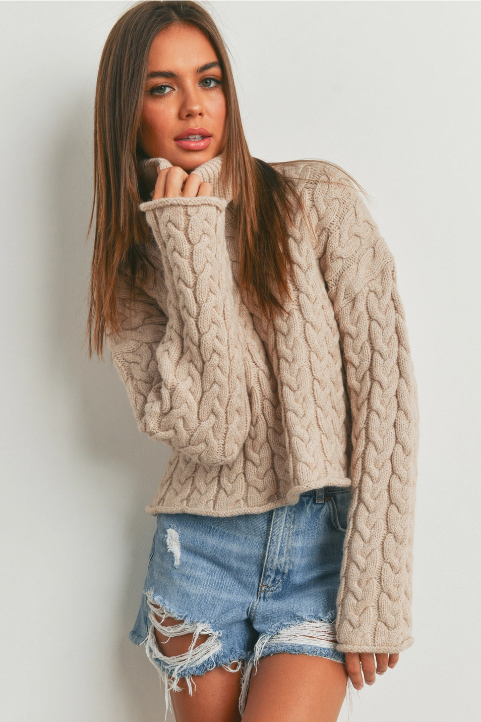 Thick Braid Turtleneck Sweater
