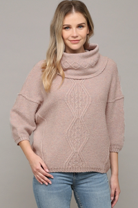 Cowl Neck Short Sleeve Sweater