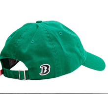 Load image into Gallery viewer, Boathouse BIRDS Baseball Hat
