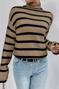 Striped L/S Knitting Turtleneck Sweater