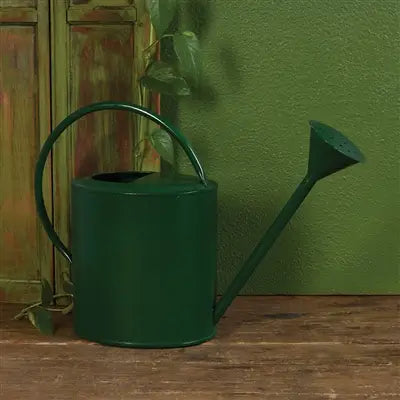 Watering Can Large