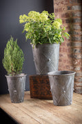 Zinc Drum Planter-Small (1 planter)